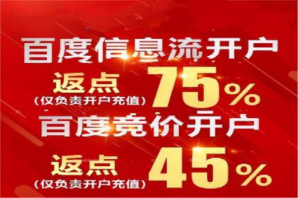 竞价推广策略：成功企业的案例分享